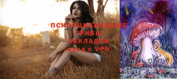 ПСИЛОЦИБИНОВЫЕ ГРИБЫ Мегион