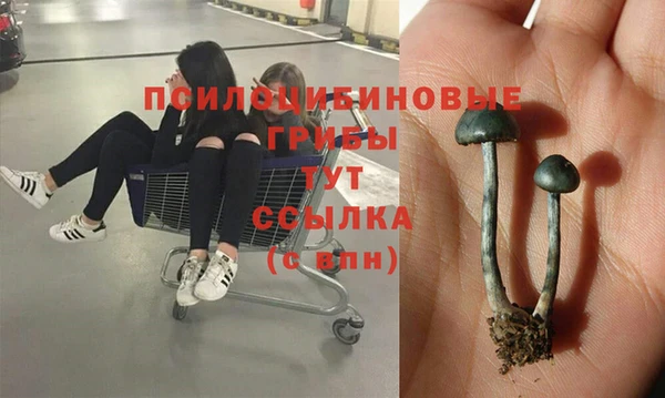 бутират Балабаново