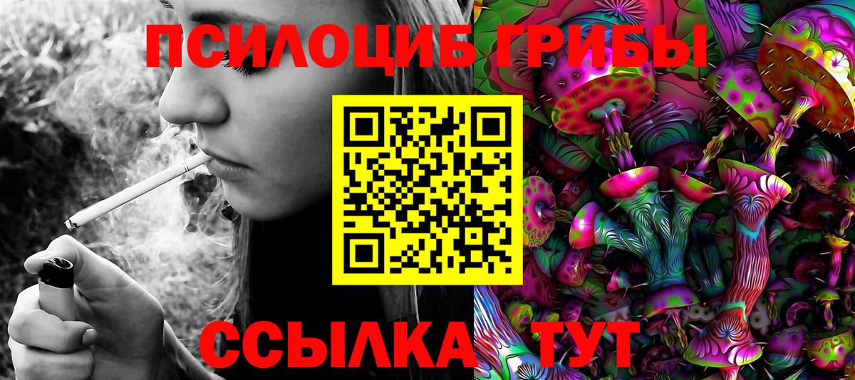 Галлюциногенные грибы Psilocybine cubensis  Галлюциногенные грибы Magic Shrooms  Ессентуки  Вход с VPN 