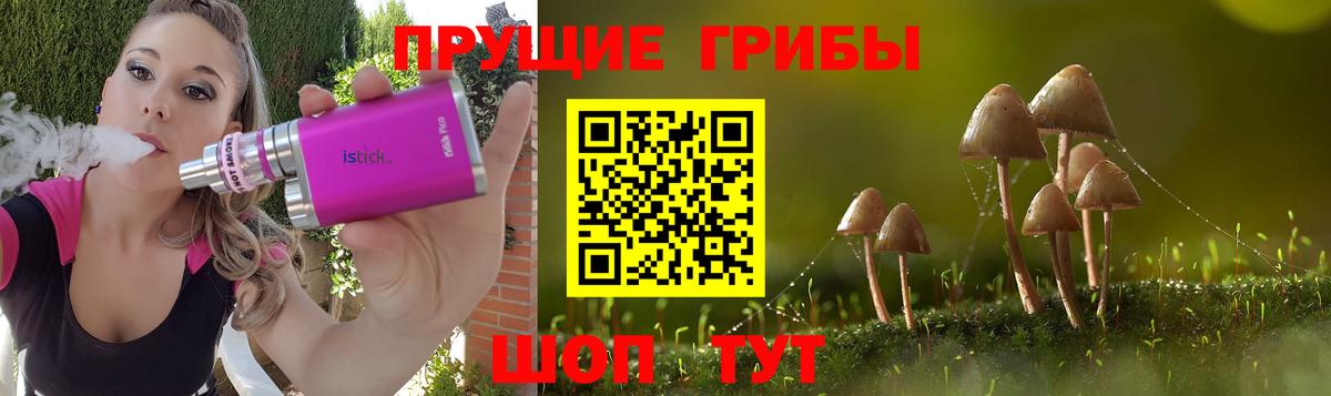 Галлюциногенные грибы MAGIC MUSHROOMS Ессентуки